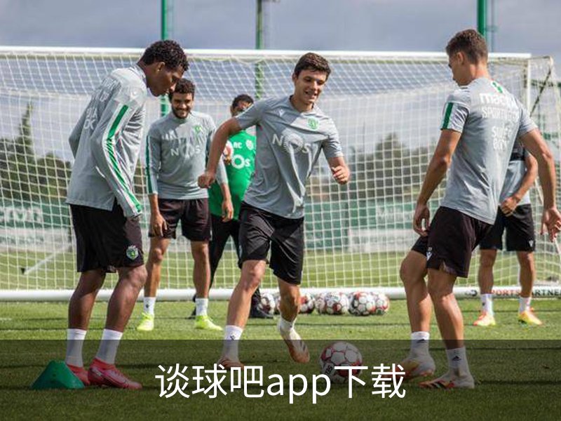 谈球吧app下载概况
